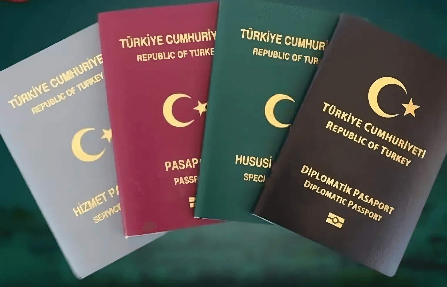 Türk pasaportu